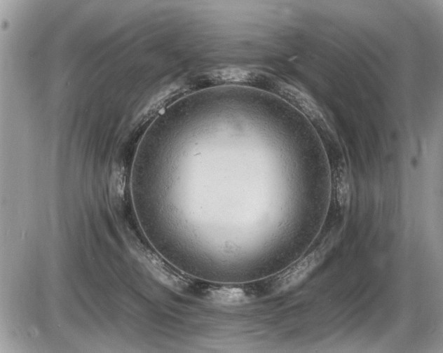 X0000087400374200704201313