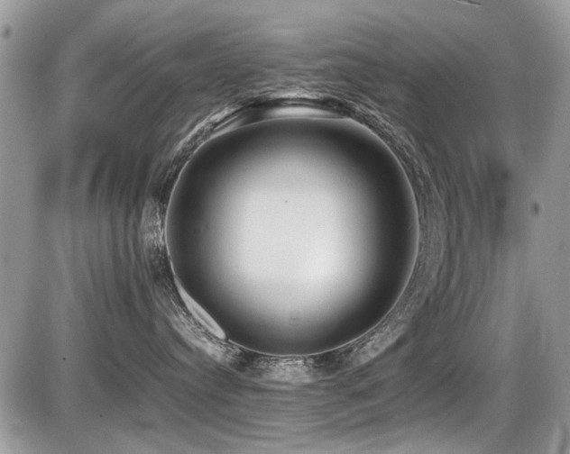 X0000087400384200704201313