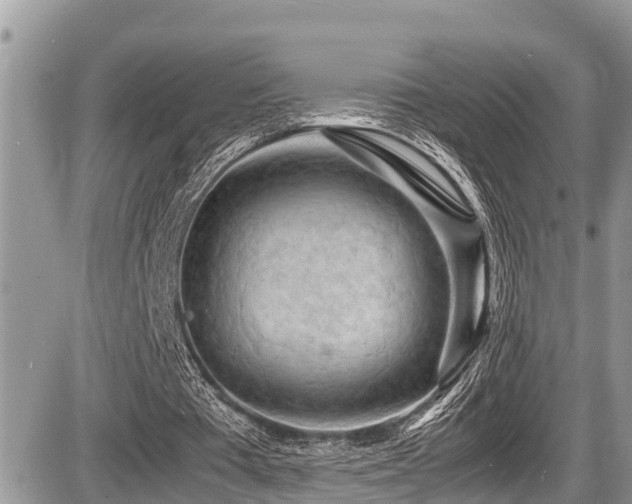 X0000087400385200704201313