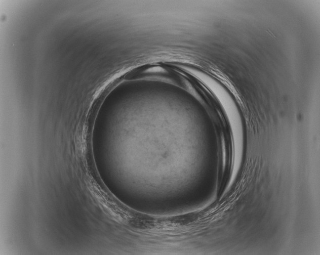 X0000087400387200704201313
