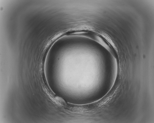 X0000087400389200704201313