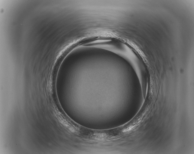 X0000087400391200704201313