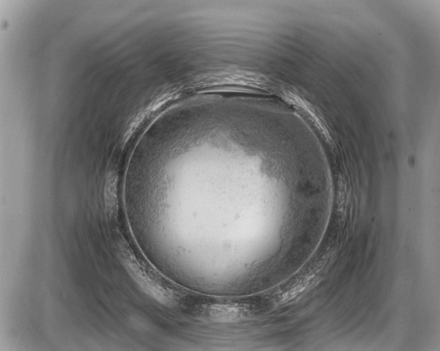 X0000087400394200704201313