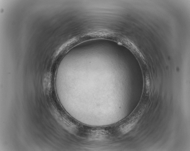 X0000087400396200704201312