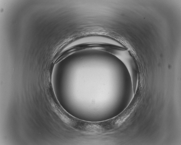 X0000087400397200704201312