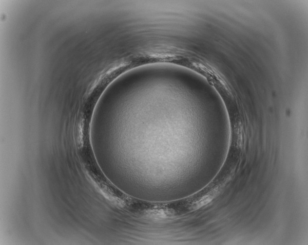 X0000087400404200704201312
