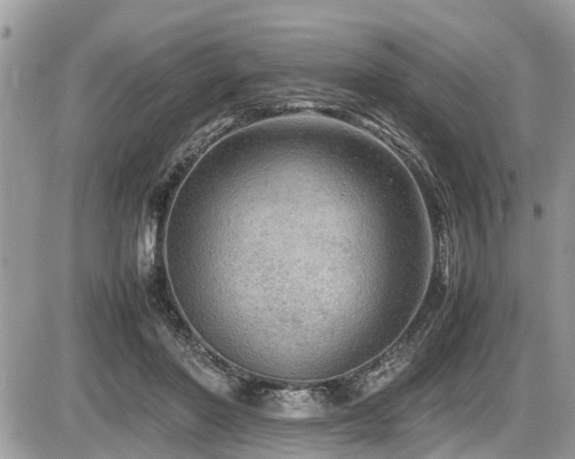 X0000087400406200704201312