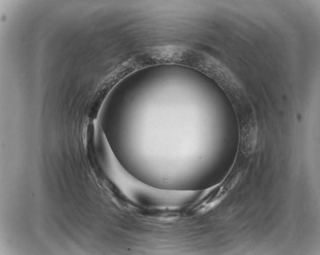 X0000087400416200704201312