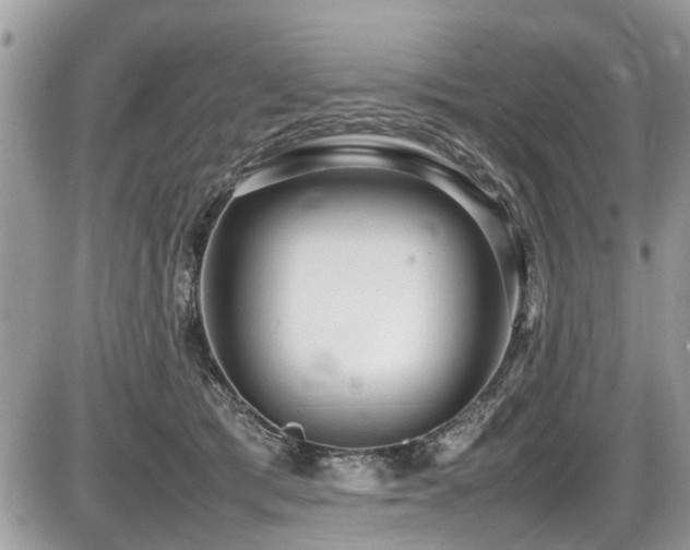 X0000087400417200704201312