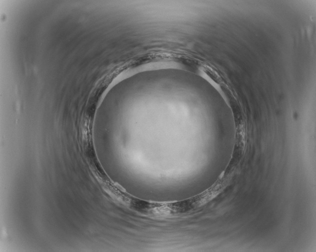 X0000087400423200704201312