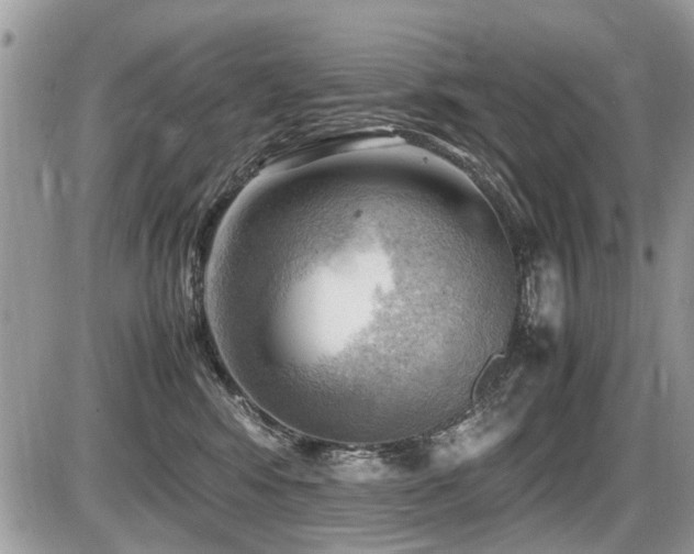 X0000087400424200704201312