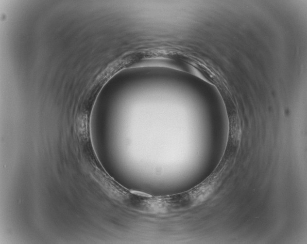 X0000087400425200704201312