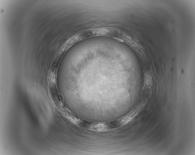 X0000087400431200704201312