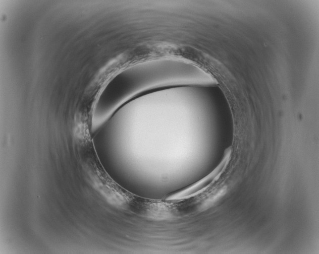 X0000087400432200704201312