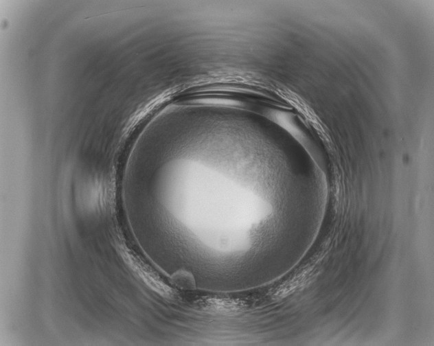 X0000087400442200704201311