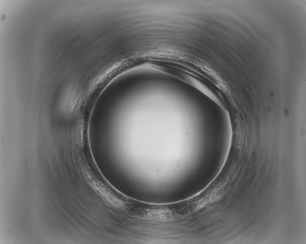 X0000087400446200704201311