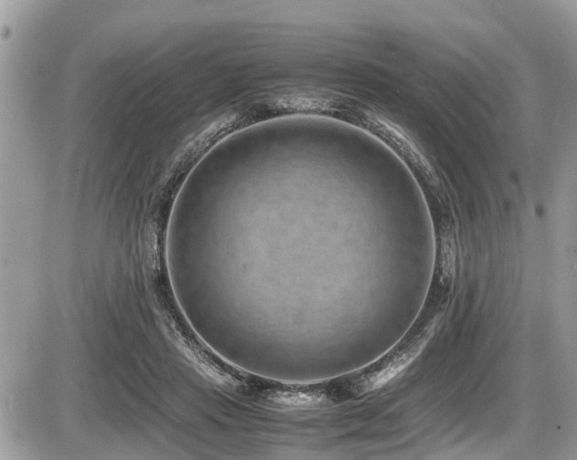 X0000087400453200704201311