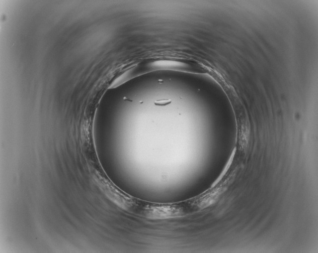 X0000087400473200704201312