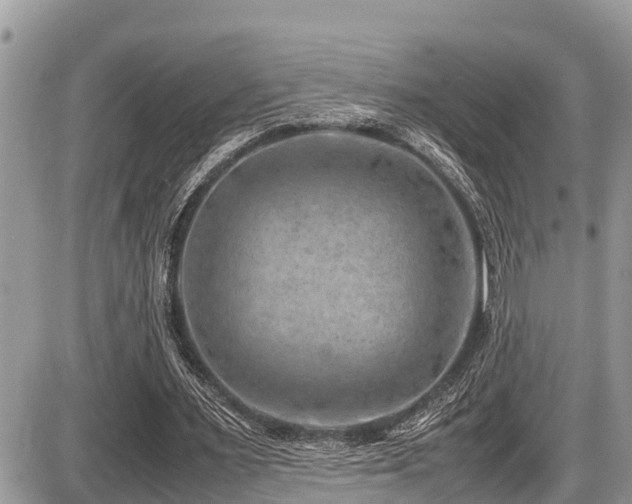 X0000087400483200704201311