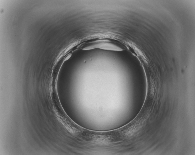 X0000087400486200704201311