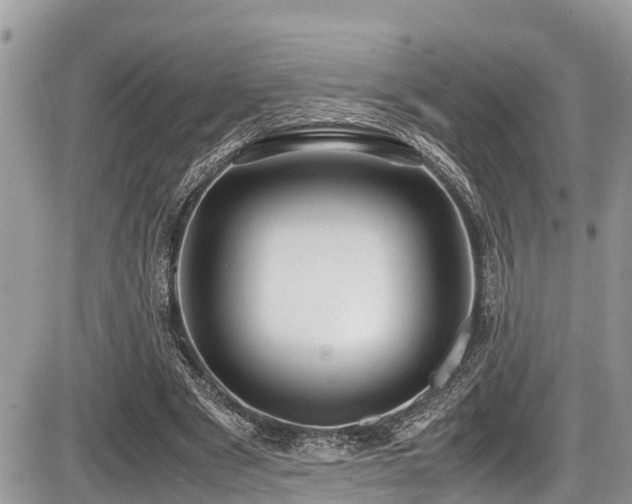 X0000087400489200704201311