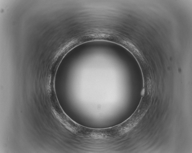 X0000087400490200704201311