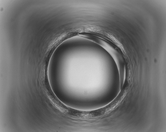 X0000087400493200704201311