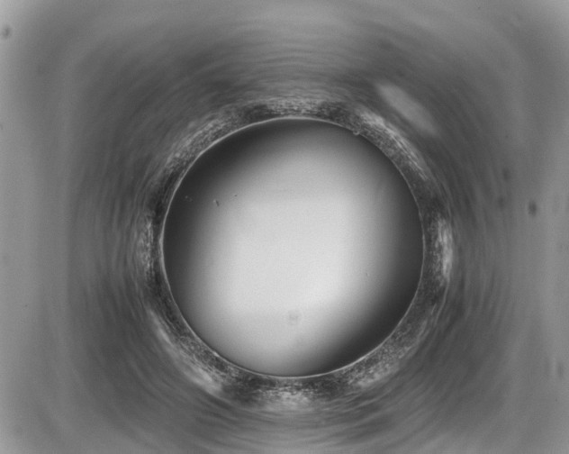 X0000087400498200704201311