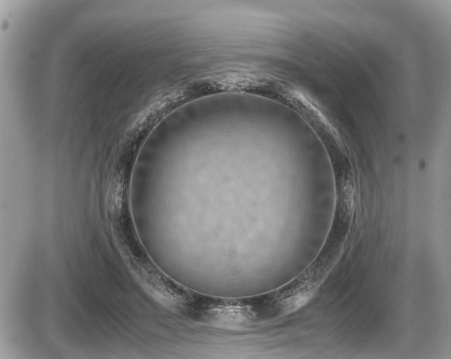 X0000087400499200704201311