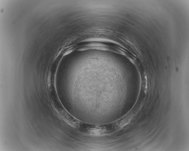 X0000087400504200704201311