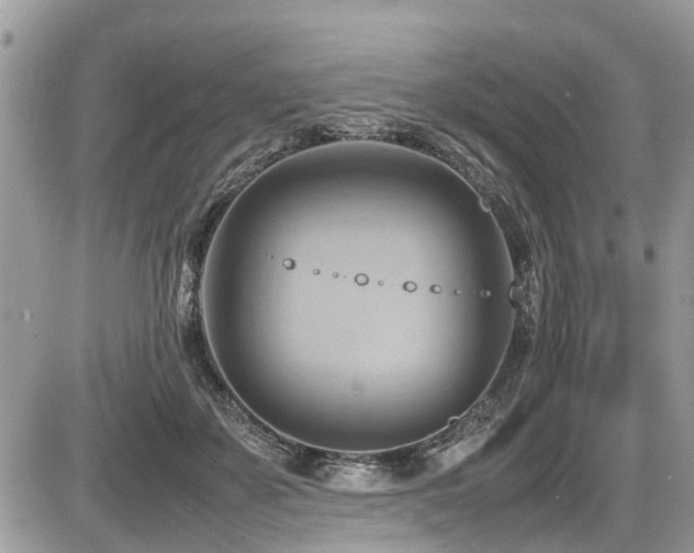 X0000087400507200704201311