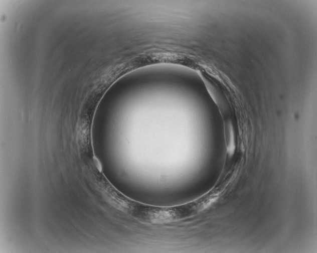 X0000087400513200704201311