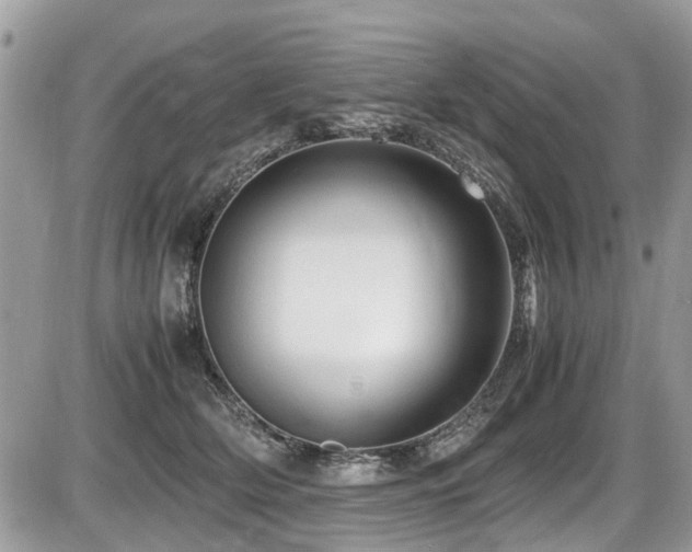 X0000087400514200704201311