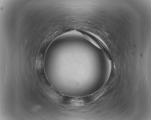 X0000087400515200704201311