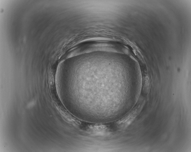 X0000087400517200704201311