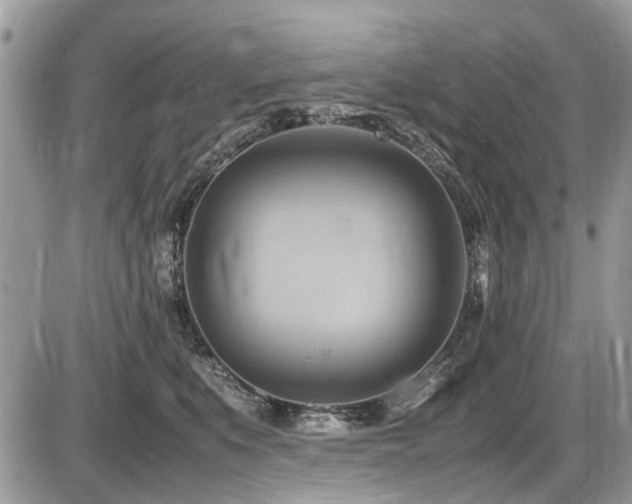 X0000087400519200704201310
