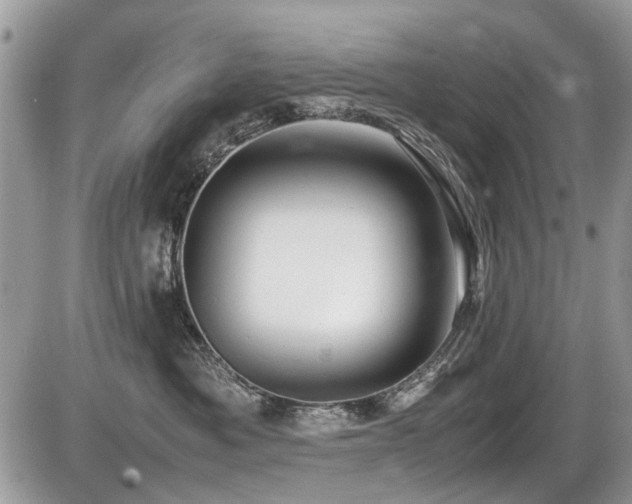 X0000087400525200704201310