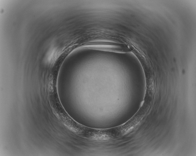 X0000087400547200704201310
