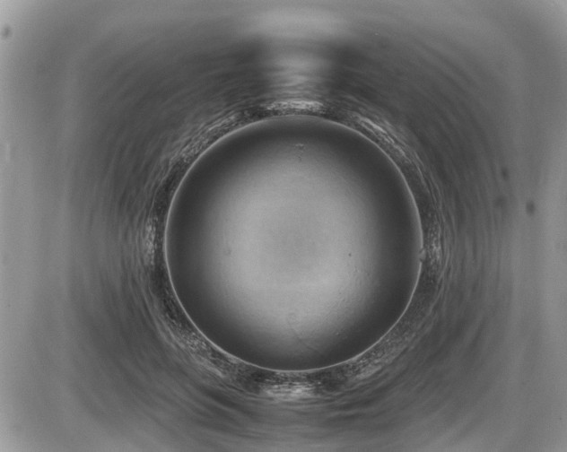 X0000087400551200704201310