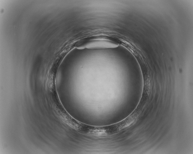 X0000087400554200704201310