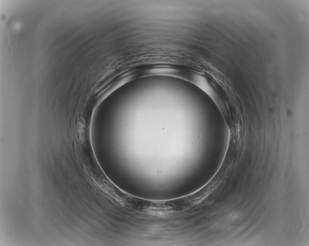 X0000087400556200704201310