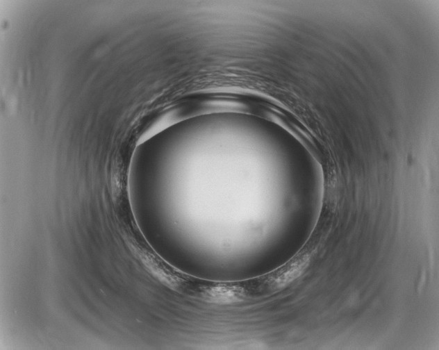 X0000087400566200704201310