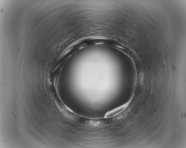 X0000087400570200704201310
