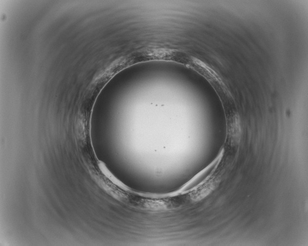 X0000087400572200704201310