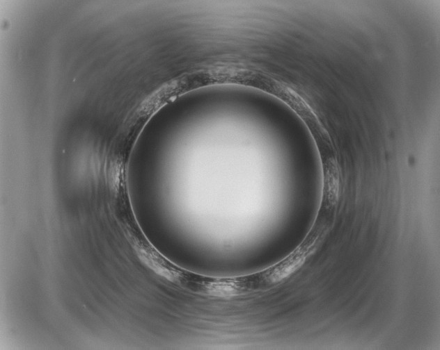 X0000087400574200704201310