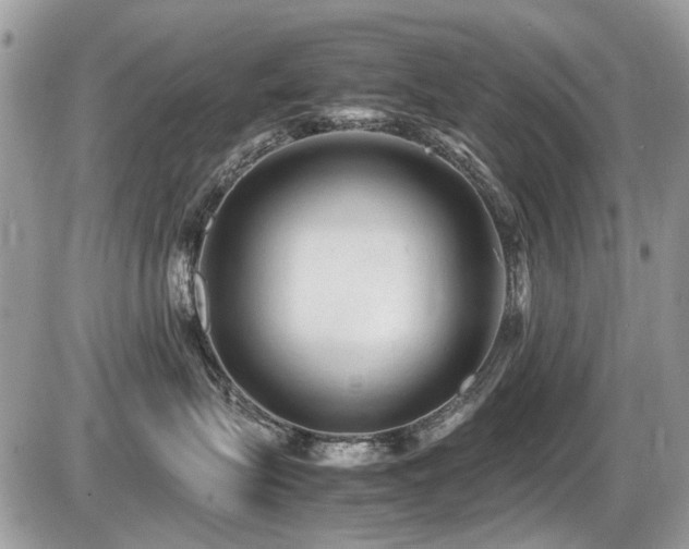 X0000087400575200704201310