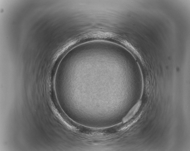 X0000087400581200704201309