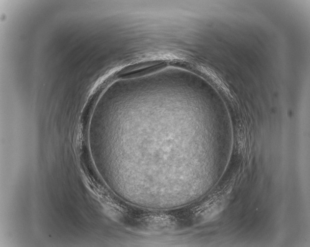 X0000087400583200704201309