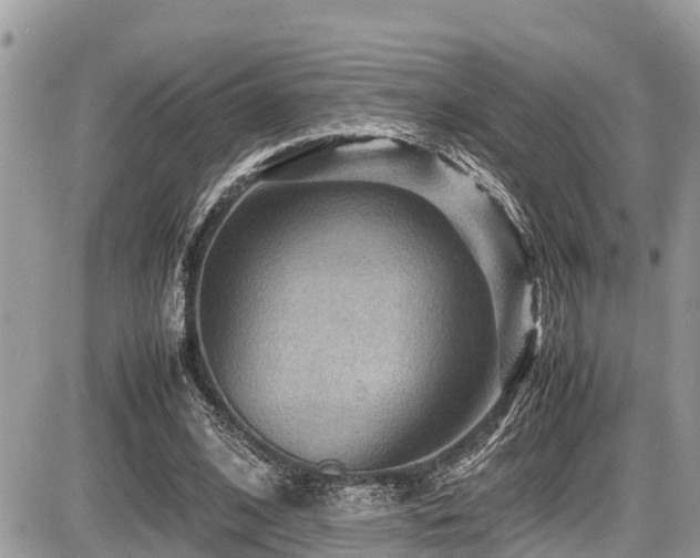 X0000087400584200704201309