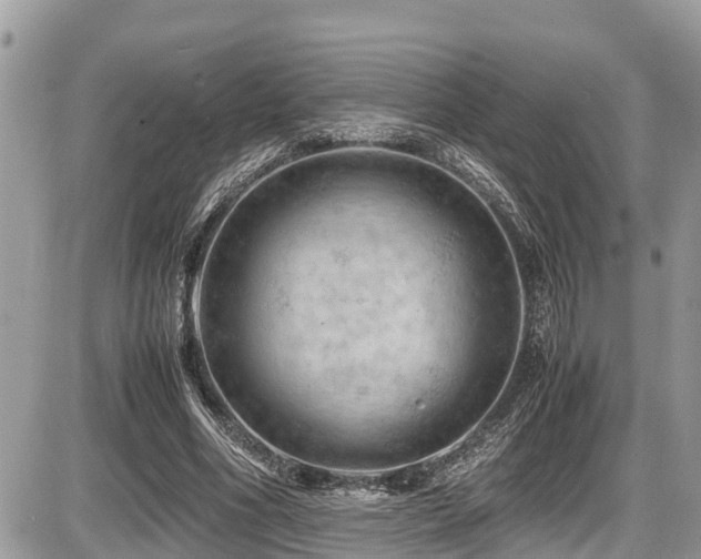 X0000087400586200704201309